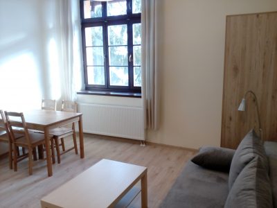 Apartamenty w Rynku - Rabka Zdrój - apartament z aneksem kuchennym